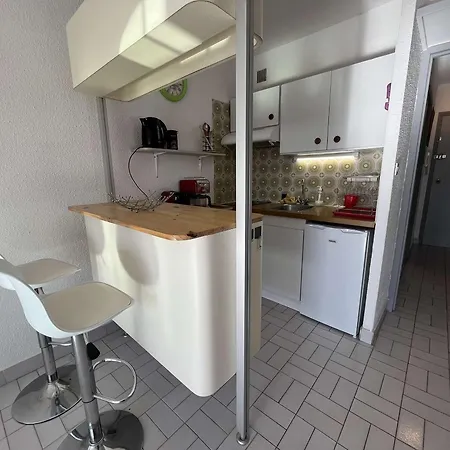 Apartment Au Cap D'agde Avec Parking, Piscine Proche Du Port - Fr-1-249-420 *